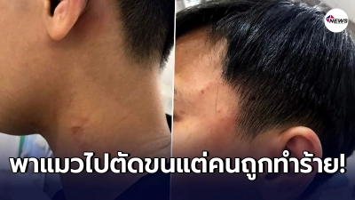 สาวทอมพาน้องแมวไปฝากอาบน้ำตัดขนที่ร้านดัง พอตอนไปรับกลับได้หมัดเป็นของแถม สาวทอมพาน้องแมวไปฝากอาบน้ำตัดขนที่ร้านดัง พอตอนไปรับกลับได้หมัดเป็นของแถม