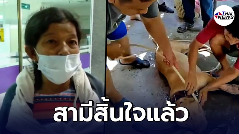 ภรรยาเผย สามีเจ้าของสุนัขแบนด็อก สิ้นใจแล้ว - ไทยนิวส์ออนไลน์