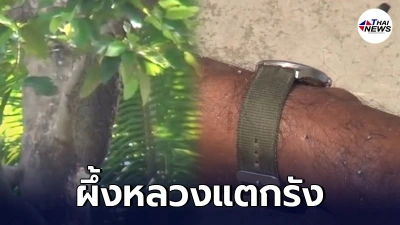 ฝูงผึ้งมัจจุราช รุมต่อยคนงานตัดหญ้า ดับสลดกลางโรงเรียนดัง ฝูงผึ้งมัจจุราช รุมต่อยคนงานตัดหญ้า ดับสลดกลางโรงเรียนดัง