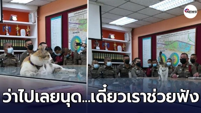 หัวหน้าต้องรีบสั่งการ น้องเหมียวจอมป่วน ขึ้นโต๊ะร่วมประชุมคอนเฟอเรนซ์ กลางโรงพักไม่สนใจใคร หัวหน้าต้องรีบสั่งการ น้องเหมียวจอมป่วน ขึ้นโต๊ะร่วมประชุมคอนเฟอเรนซ์ กลางโรงพักไม่สนใจใคร