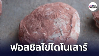 ตื่นตา เจียงซีขุดพบ ‘ฟอสซิลไข่ไดโนเสาร์’ ยุคครีเทเชียส ตื่นตา เจียงซีขุดพบ ‘ฟอสซิลไข่ไดโนเสาร์’ ยุคครีเทเชียส