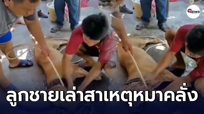 ลูกชายเล่าสาเหตุสุนัขคลั่งขย้ำพ่อสลบคาบ้าน ผู้เชี่ยวชาญรับตัวไปดูแลต่อ ลูกชายเล่าสาเหตุสุนัขคลั่งขย้ำพ่อสลบคาบ้าน ผู้เชี่ยวชาญรับตัวไปดูแลต่อ