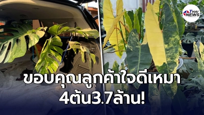 หนุ่มสุดดีใจ โพสต์ขอบคุณผู้ใหญ่ใจดี เหมาต้นไม้ 4 ต้น 3.7 ล้าน