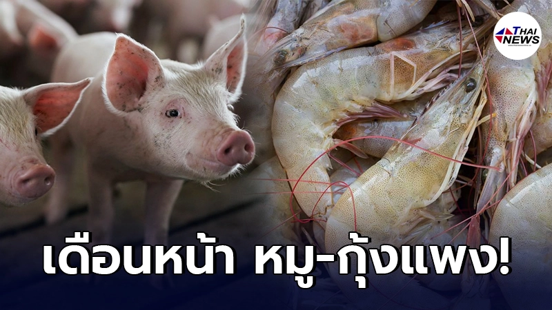 ธ.ก.ส. เผยแนวโน้มเดือนหน้า เนื้อหมู-กุ้งราคากระฉูด แพงขึ้นจากเดือนนี้