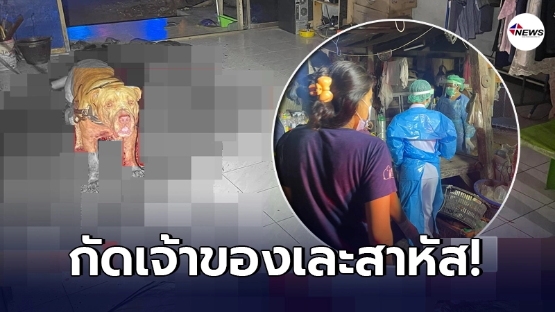"หมาคลั่ง"นอนด้วยกันทุกวัน อยู่ๆกัดเจ้าของยับ แดงฉานทั้งบ้าน เจ็บสาหัส "หมาคลั่ง"นอนด้วยกันทุกวัน อยู่ๆกัดเจ้าของยับ แดงฉานทั้งบ้าน เจ็บสาหัส