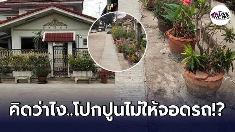 หนุ่มโพสต์ถาม เจอแบบนี้จะทุบอะไรก่อน ระหว่างเจ้าของบ้านหรือกระถางต้นไม้ หนุ่มโพสต์ถาม เจอแบบนี้จะทุบอะไรก่อน ระหว่างเจ้าของบ้านหรือกระถางต้นไม้