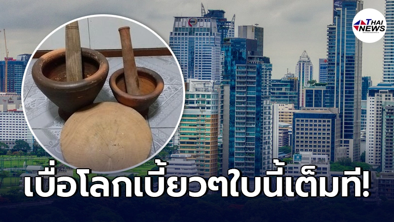 ลูกบ้านปวดประสาท มนุษย์คอนโดไทย ชอบใช้ ครก +เขียง เสียงดังไร้ความเกรงใจ ลูกบ้านปวดประสาท มนุษย์คอนโดไทย ชอบใช้ ครก +เขียง เสียงดังไร้ความเกรงใจ