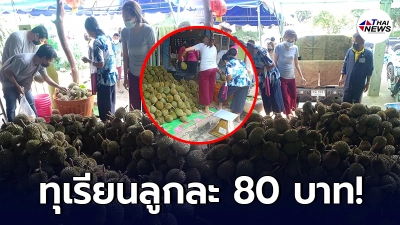 เผยพิกัด หนุ่มโพสต์ขายทุเรียน ลูกละ 80 บาท คนแห่ซื้อกันเพียบ