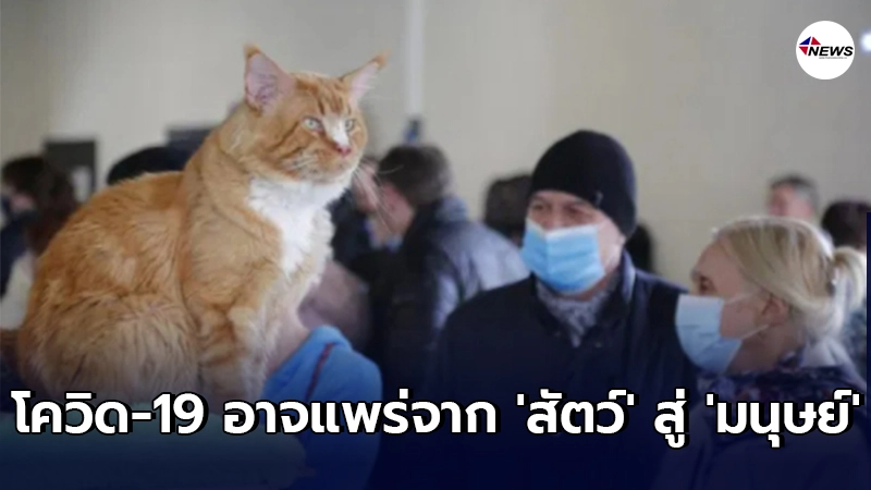 องค์การอนามัยโลก (WHO) ชี้เชื้อไวรัสโคโรนาสายพันธุ์ใหม่ (โควิด-19 ) อาจแพร่จาก สัตว์ สู่ มนุษย์ องค์การอนามัยโลก (WHO) ชี้เชื้อไวรัสโคโรนาสายพันธุ์ใหม่ (โควิด-19 ) อาจแพร่จาก สัตว์ สู่ มนุษย์