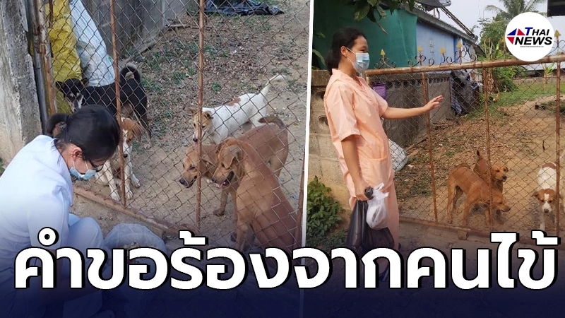 สุดซาบซึ้งใจ พยาบาลสาวได้รับคำขอร้องจากผู้ป่วยโควิด สุดซาบซึ้งใจ พยาบาลสาวได้รับคำขอร้องจากผู้ป่วยโควิด