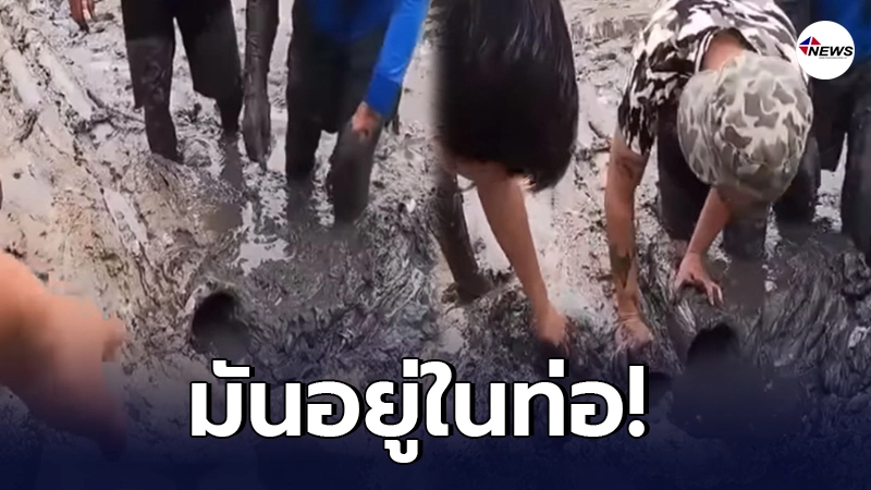 คนงานลอกท่อ เอะใจมานานทำไมท่อตันไม่รู้อะไรติดอยู่ ตัดสินใจดึงออกมา ทำเอาวงแตกแต่กลับดีใจ