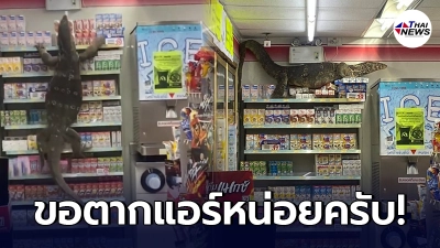 ลูกค้าแตกตื่น ตัวเงินตัวทองบุกร้านสะดวกซื้อ พังข้าวของกระจัดกระจาย ลูกค้าแตกตื่น ตัวเงินตัวทองบุกร้านสะดวกซื้อ พังข้าวของกระจัดกระจาย