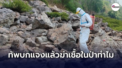 "กองทัพบก"แจงแล้ว หลังคนแห่วิจารณ์ ทำไมต้องฆ่าเชื้อในป่า