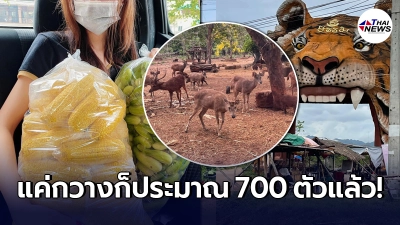 สาวใจบุญสะเทือนใจ ไปเที่ยววัดป่าหลวงตาบัว ทั้งภายนอกและภายในดูร้าง สาวใจบุญสะเทือนใจ ไปเที่ยววัดป่าหลวงตาบัว ทั้งภายนอกและภายในดูร้าง