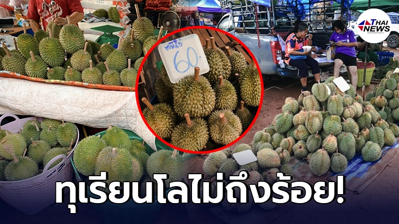 เปิดพิกัด ทุเรียนราคาถูก เริ่มต้นที่ 30 บาท มีเงินไม่ถึงร้อยก็กินได้