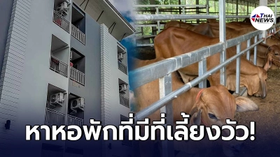 "นักศึกษาสาว"หนักใจ ประกาศตามหาหอพักที่มีที่ให้เลี้ยงวัว แถมถ้าใครหาได้จะมีรางวัลให้ด้วย!