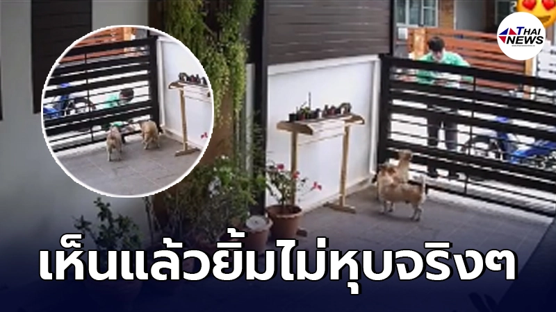 เจ้าของน้ำตาแทบไหล หลังมองไลน์แมนมาส่งข้าวให้น้องหมาสุดรัก