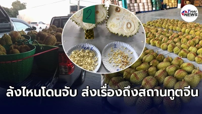 โดนรวบอีกล้งทุเรียนอ่อนจันทบุรี  หมอนทองวัดได้27เปอร์เซ็นต์ รอบก่อนเจอเป็นตัน ตั้งรางวัลนำจับ