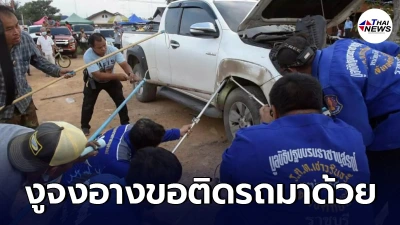 ผวาทั้งคันรถ หนุ่มราชบุรีไปธุระเมืองกาญจน์ ขากลับ มี "งูจงอาง" ติดรถมาด้วย