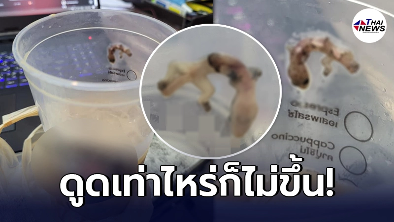 หนุ่มแวะซื้อกาแฟในร้านสะดวกซื้อ ดื่มไปถึงครึ่งแก้ว ดูดเท่าไหร่ก็ไม่ขึ้นสักที หนุ่มแวะซื้อกาแฟในร้านสะดวกซื้อ ดื่มไปถึงครึ่งแก้ว ดูดเท่าไหร่ก็ไม่ขึ้นสักที