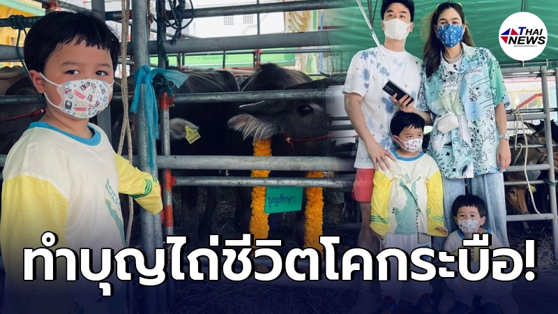 พ่อน็อต-แม่ชมพู่ จูงมือทายาทฝาแฝด น้องสายฟ้า-น้องพายุ ทำบุญไถ่ชีวิตโคกระบือ พ่อน็อต-แม่ชมพู่ จูงมือทายาทฝาแฝด น้องสายฟ้า-น้องพายุ ทำบุญไถ่ชีวิตโคกระบือ