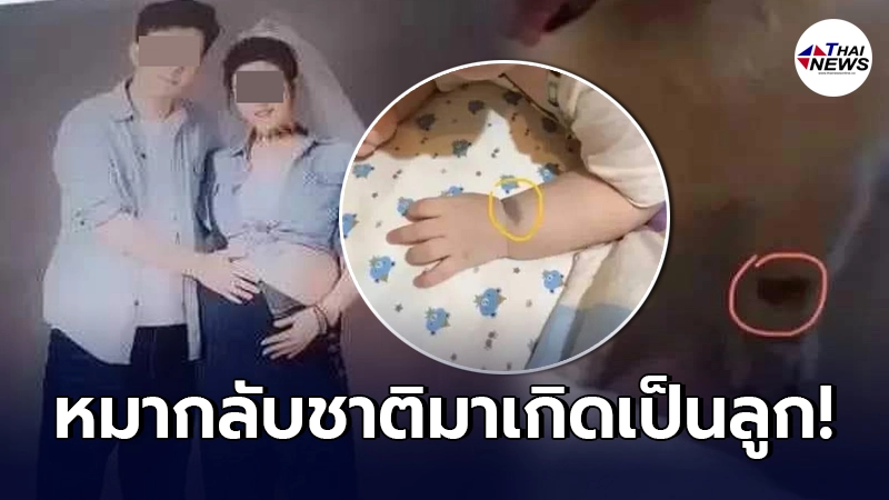 พ่อแม่ชาวจีน เชื่อหมาที่เคยเลี้ยงไว้ กลับชาติมาเกิดเป็นลูก พ่อแม่ชาวจีน เชื่อหมาที่เคยเลี้ยงไว้ กลับชาติมาเกิดเป็นลูก