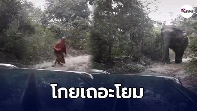 หลวงพี่ถึงกับต้องวิ่งหนีป่าราบ หลังเข้าป่าแล้วไปเจอเจ้าถิ่นใหญ่ออกมาทักทาย