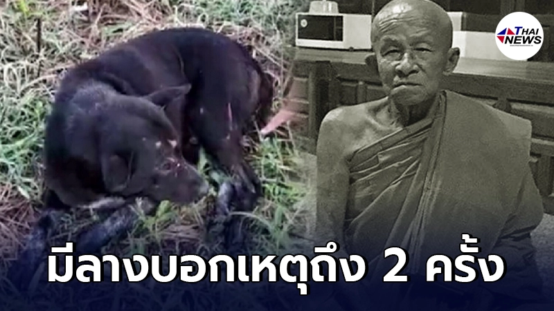 เปิดลางบอกเหตุ ก่อนหลวงตาถูกรถชนมรณภาพ เพื่อปกป้องเจ้าจ๊อด สุนัขแสนรัก เปิดลางบอกเหตุ ก่อนหลวงตาถูกรถชนมรณภาพ เพื่อปกป้องเจ้าจ๊อด สุนัขแสนรัก