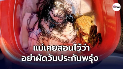 สาวแช่ผ้านานจัด ขี้เกียจไปซัก เปิดมาดูอีกที ได้กบมา 1 ครอบครัว!