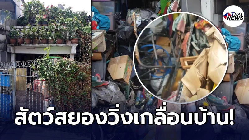 เพื่อนบ้านพากันเอือม ข้างบ้านสะสมกองขยะ แจ้งหน่วยงานไปหลายครั้ง เพื่อนบ้านพากันเอือม ข้างบ้านสะสมกองขยะ แจ้งหน่วยงานไปหลายครั้ง