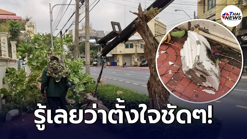 เจ้าของบ้านเหลืออด เจ้าหน้าที่อ้างเล็มต้นไม้หน้าบ้าน