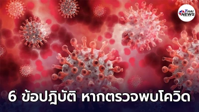 6 ข้อควรปฎิบัติ หากตรวจพบเชื้อโควิด-19 - ไทยนิวส์ออนไลน์