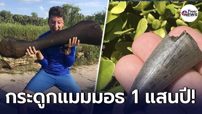 สุดฮือฮา หนุ่มอเมริกัน ออกไปดำน้ำเล่น พบกระดูกแมมมอธ อายุกว่า 100,000 ปี