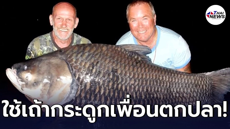 นักตกปลาต่างชาติ ใช้เถ้ากระดูกเพื่อน เป็นเหยื่อตกปลา เจอหนักกว่า 81 กก. นักตกปลาต่างชาติ ใช้เถ้ากระดูกเพื่อน เป็นเหยื่อตกปลา เจอหนักกว่า 81 กก.