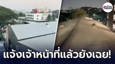 หนุ่มทนไม่ไหว เพื่อนบ้านเป็น "โรงงานรับซื้อของเก่า" ทำงานเสียงดังทุกวัน หนุ่มทนไม่ไหว เพื่อนบ้านเป็น "โรงงานรับซื้อของเก่า" ทำงานเสียงดังทุกวัน