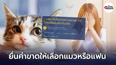 สาวทาสแมวเครียดหนัก ถูกแฟนยื่นคำขาดให้เลือก หลังโดนห้ามไม่ให้เลี้ยง สาวทาสแมวเครียดหนัก ถูกแฟนยื่นคำขาดให้เลือก หลังโดนห้ามไม่ให้เลี้ยง