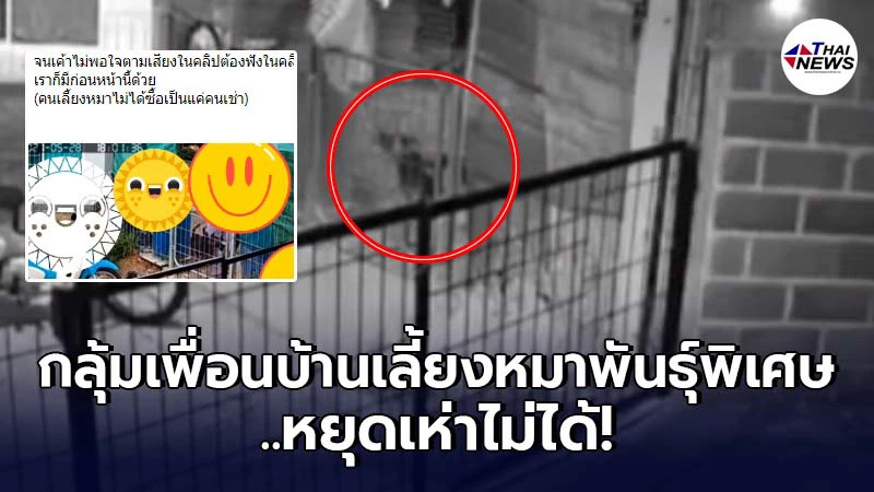 สาวประสาทจะกิน เพื่อนบ้านรักหมา เลี้ยงสุนัขพันธุ์พิเศษ หยุดเห่าไม่ได้ สาวประสาทจะกิน เพื่อนบ้านรักหมา เลี้ยงสุนัขพันธุ์พิเศษ หยุดเห่าไม่ได้