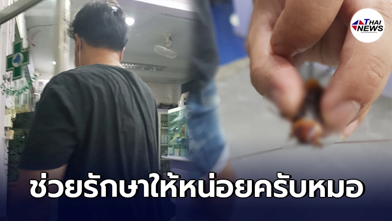 หมอนึกว่าถูกกวนโอ๊ย หนุ่มเดินถือแมลงสาบมาให้รักษาหลังเผลอเดินเหยียบ หมอนึกว่าถูกกวนโอ๊ย หนุ่มเดินถือแมลงสาบมาให้รักษาหลังเผลอเดินเหยียบ