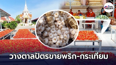 พระวัดบางหญ้าแพรก วางตาลปัตรนั่งขายพริก-กระเทียม หาปัจจัยบูรณะเมรุเผาศพ
