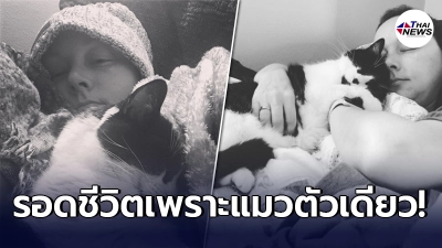 สาวต่างชาติชะตาพลิก หลังแมวแสนรัก มีพฤติกรรมแปลกๆ กับร่างกายของเธอ