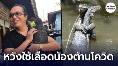 ม.มหิดล เร่งวิจัยเลือด ตัวเงินตัวทอง หวังใช้พิชิต โควิด