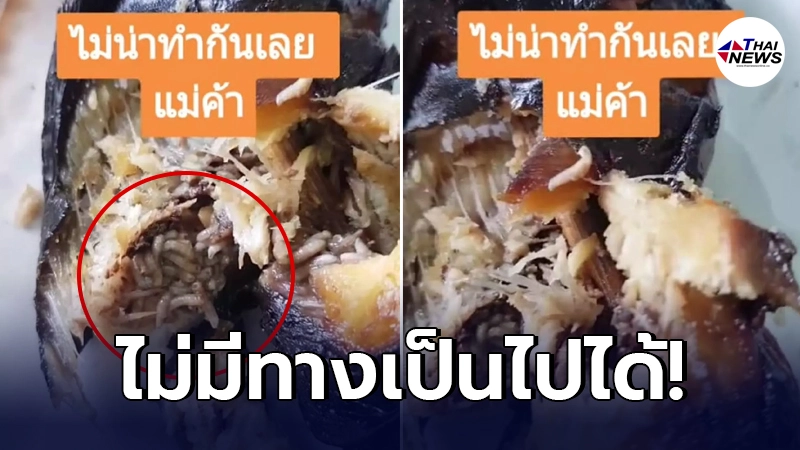 เจ้าของร้านโร่แจง หลังเจอดราม่าลูกค้าซื้อ ปลาดุกย่าง สอดไส้กองทัพหนอน เจ้าของร้านโร่แจง หลังเจอดราม่าลูกค้าซื้อ ปลาดุกย่าง สอดไส้กองทัพหนอน
