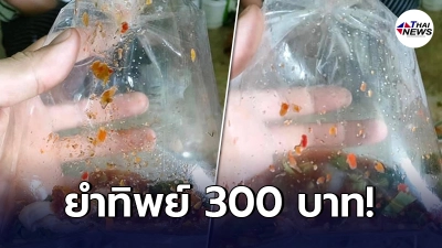 ลูกค้าหมดคำพูด ซื้อยำหมด 300 บาท หวังกินแซ่บๆ ก่อนเห็นอาหารที่ได้