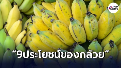 9 ประโยชน์ของ"กล้วยทั้งต้น" ที่หลายคนไม่เคยรู้มาก่อน