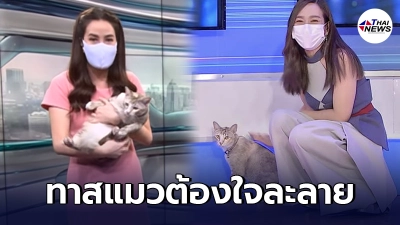 "น้องอ้อน" แมวบุกสตูดิโออีกแล้ว มาครั้งนี้ออกรายการ nine entertain "น้องอ้อน" แมวบุกสตูดิโออีกแล้ว มาครั้งนี้ออกรายการ nine entertain