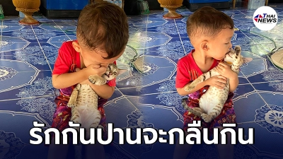 หลวงพี่ยกแมวให้หนูน้อยไปเลี้ยงที่บ้าน หลังมาเล่นฟัดทุกวันปานจะกลืนกิน หลวงพี่ยกแมวให้หนูน้อยไปเลี้ยงที่บ้าน หลังมาเล่นฟัดทุกวันปานจะกลืนกิน