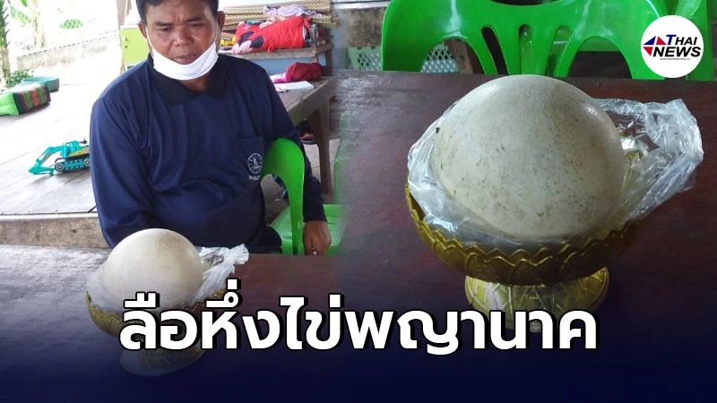 ชาวบ้านฮือฮา พบไข่ประหลาด ลอยอยู่กลางหนองน้ำเกาะคำชะโนด