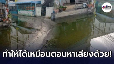 ชาวบ้านซอยวัดด่านสำโรงร้อง เดือดร้อนน้ำท่วมขังจนตะไคร่ขึ้น
