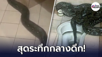 พี่น้องชาวต่างชาติ ได้ยินเสียงปริศนา นึกว่าโจรบุก ลงมาดูถึงกับร้องลั่น