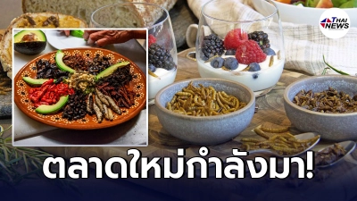 ต่างชาติผุดแผนพัฒนาอุตสาหกรรม แมลงกินได้ ในออสเตรเลีย เชื่อเกิดตลาดใหม่